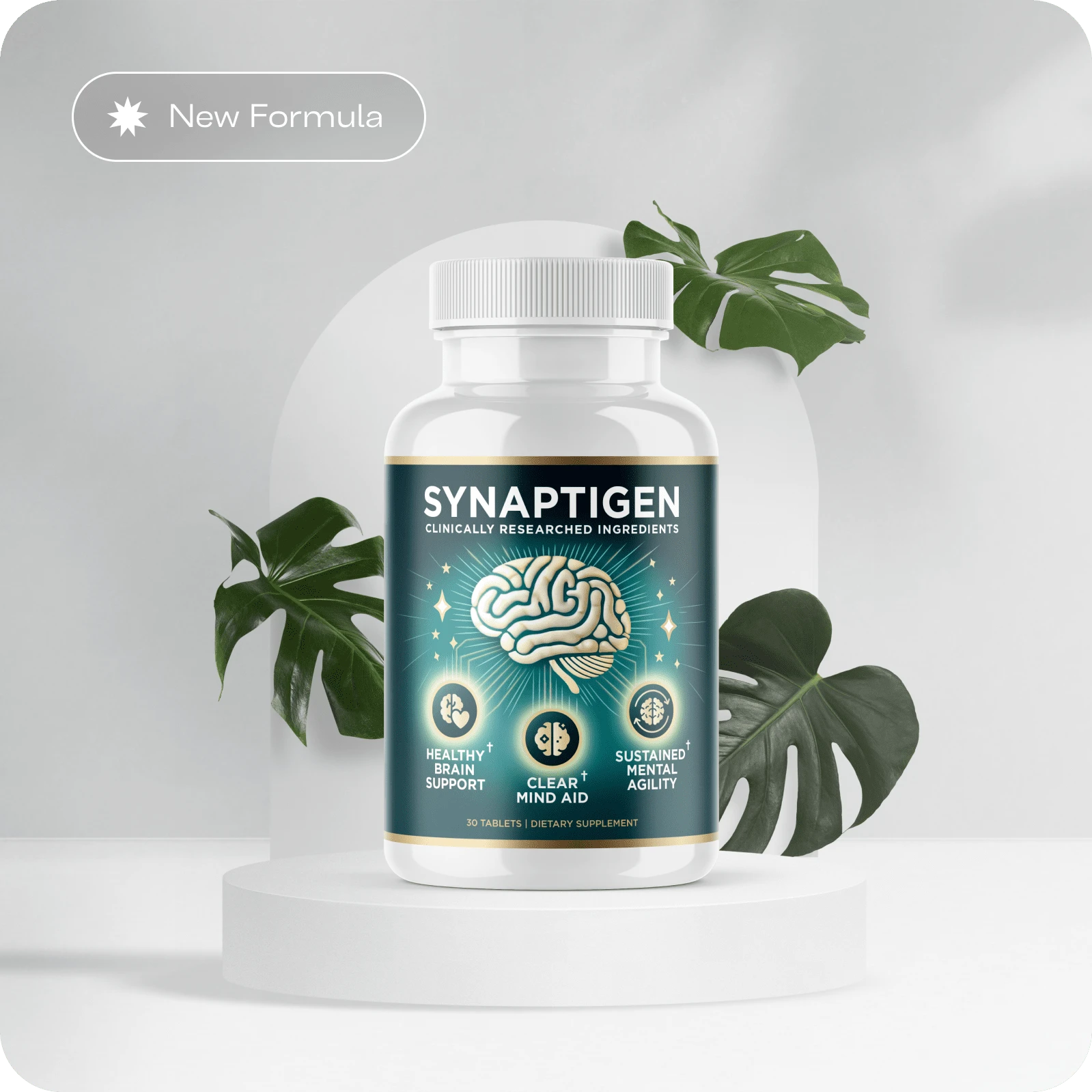 Synaptigen program